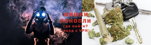 mdpv Богородицк
