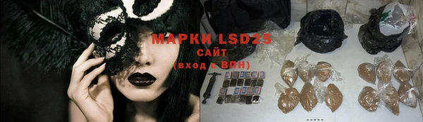 гашик Богданович