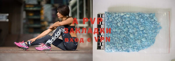 гашик Богданович