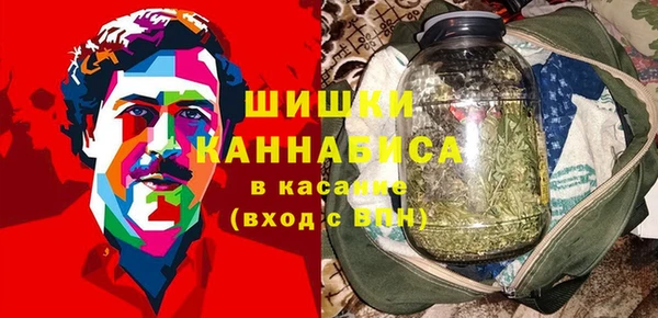 ECSTASY Богородск