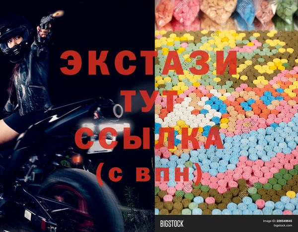 гашик Богданович