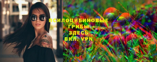 mdpv Богородицк