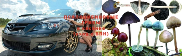 прущий лед Бородино