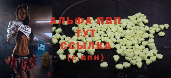 ECSTASY Богородск