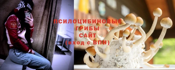 mdpv Богородицк
