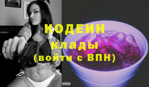 прущий лед Бородино