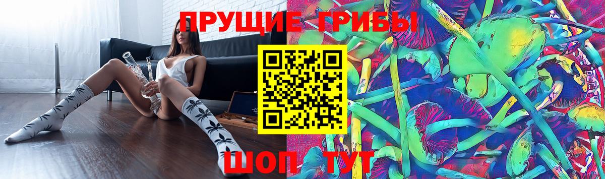 Галлюциногенные грибы прущие грибы Гусев