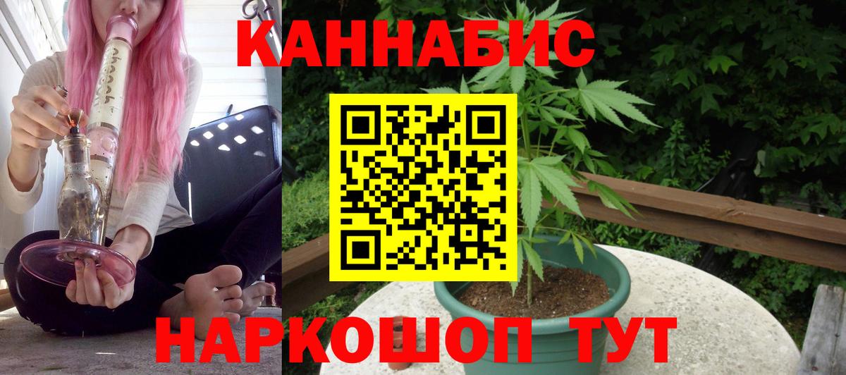Конопля индика Гусев
