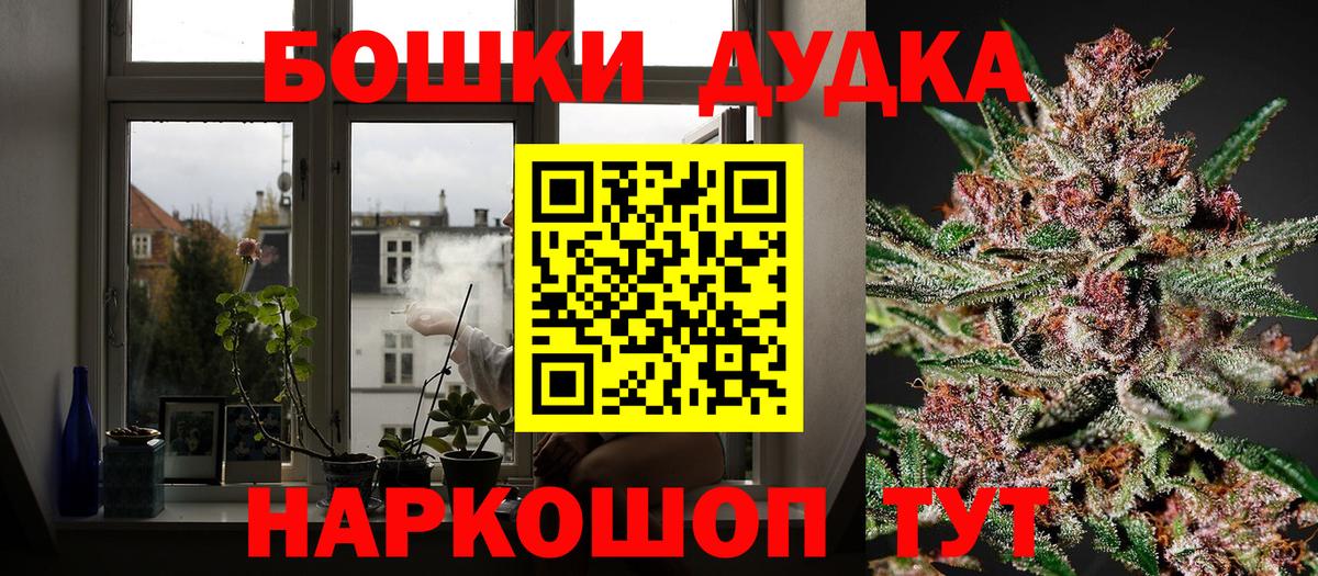 МАРИХУАНА Amnesia  Бошки Шишки Bruce Banner  Каннабис планчик  Гусев 